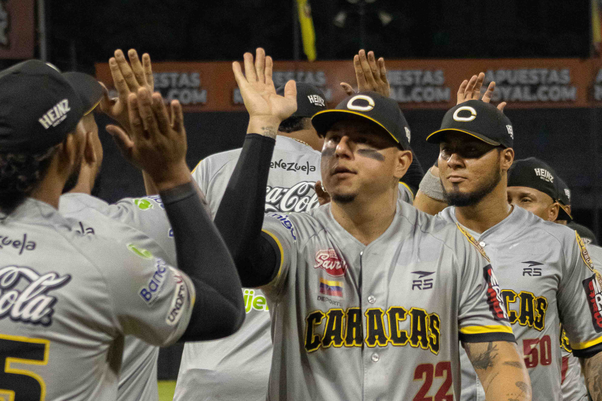 Leones rugió y silenció los bates de Tiburones - The Backhand Sports