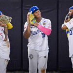 Magallanes se queda con la serie particular ante el Caracas