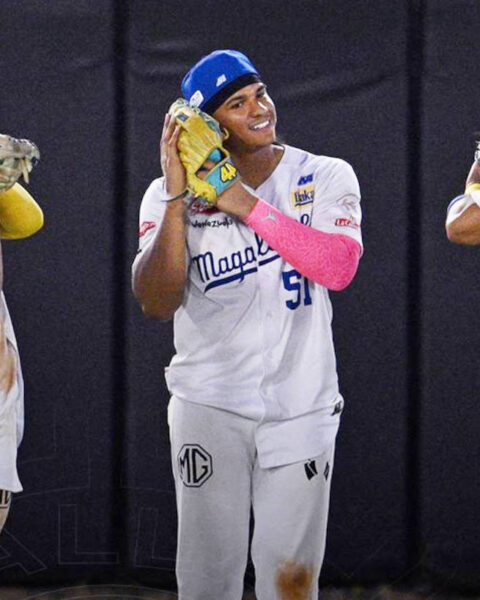 Magallanes se queda con la serie particular ante el Caracas