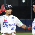 Tigres frenan a Magallanes y emparejaron la serie partícular